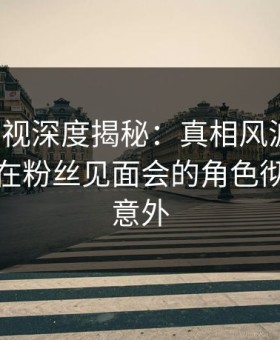 柚子影视深度揭秘：真相风波背后，神秘人在粉丝见面会的角色彻底令人意外