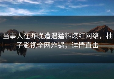 当事人在昨晚遭遇猛料爆红网络，柚子影视全网炸锅，详情直击