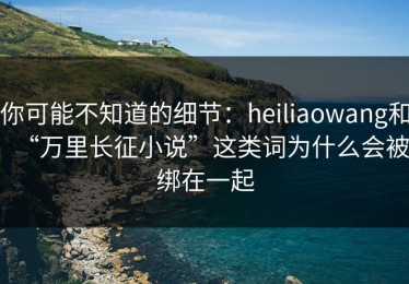 你可能不知道的细节：heiliaowang和“万里长征小说”这类词为什么会被绑在一起
