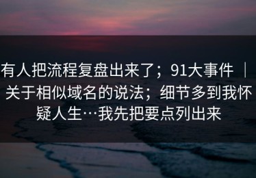 有人把流程复盘出来了；91大事件 ｜ 关于相似域名的说法；细节多到我怀疑人生…我先把要点列出来