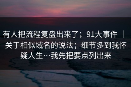 有人把流程复盘出来了；91大事件 ｜ 关于相似域名的说法；细节多到我怀疑人生…我先把要点列出来