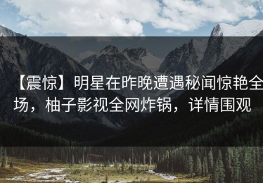 【震惊】明星在昨晚遭遇秘闻惊艳全场，柚子影视全网炸锅，详情围观
